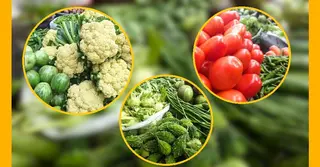 ভরা মৌসুমেও সিলেটে সবজির লাগামহীন দাম: ৫০ টাকার নিচে মিলছে না কোনোটিই